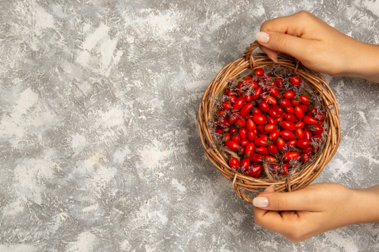 Berberyna – zastosowanie w leczeniu cukrzycy.